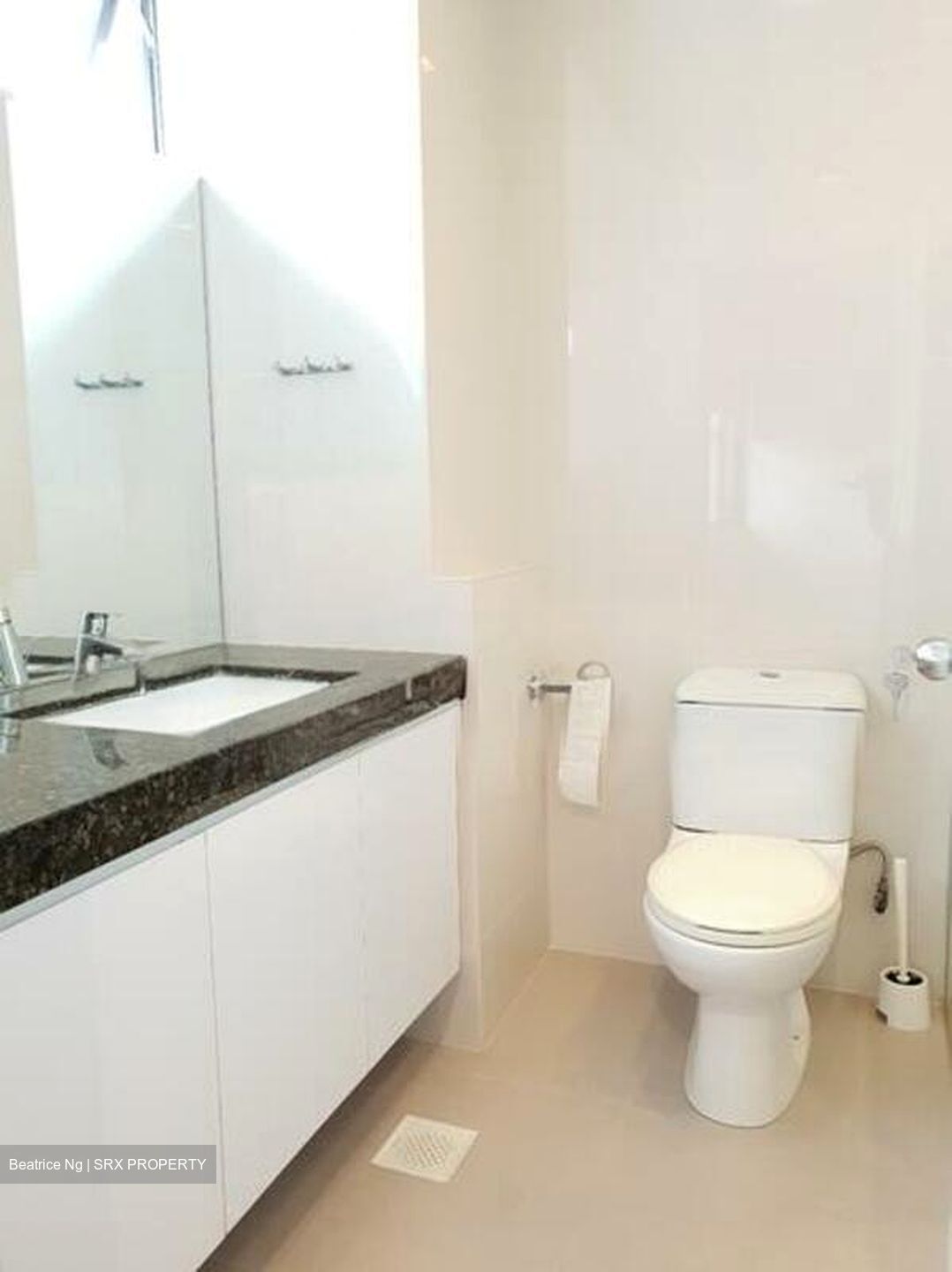 Mount Rosie Garden (D11), Condominium #519514891